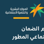 الضمان الاجتماعي المطور