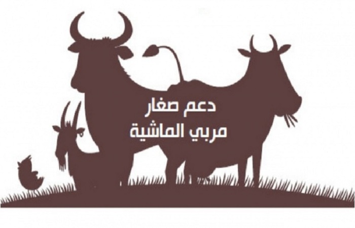 برنامج دعم صغار مربي الماشية