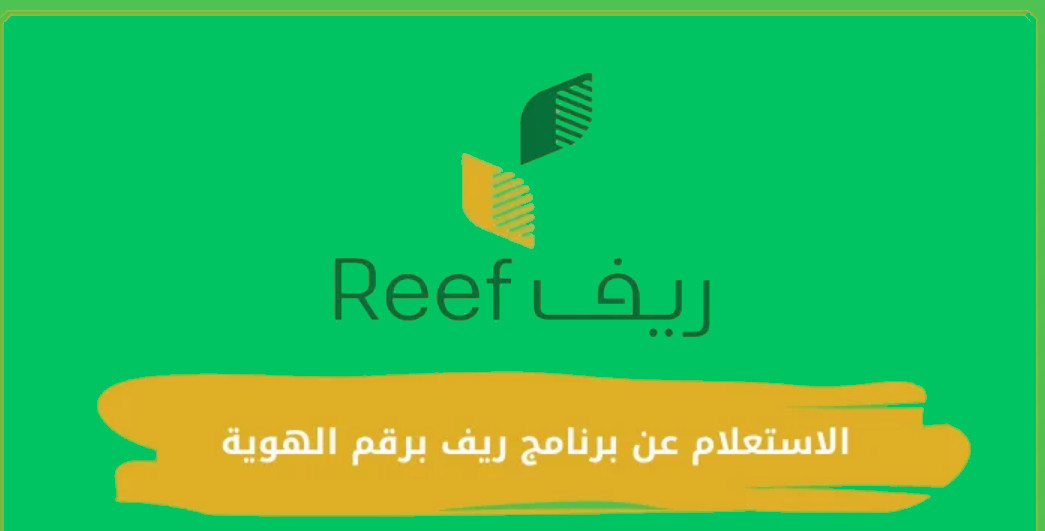 برنامج ريف
