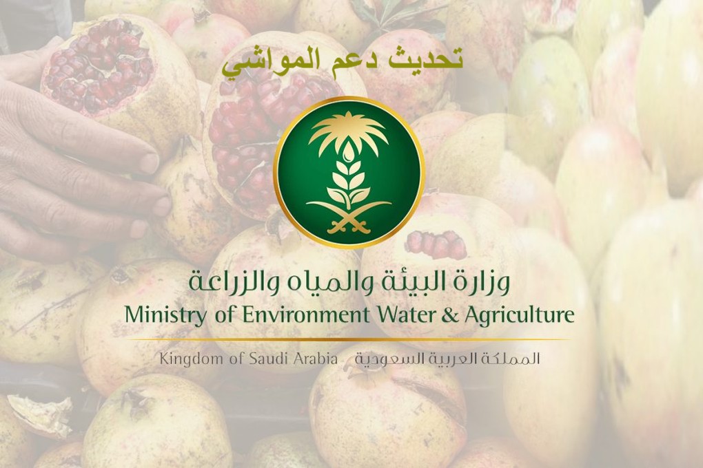 تحديث دعم المواشي