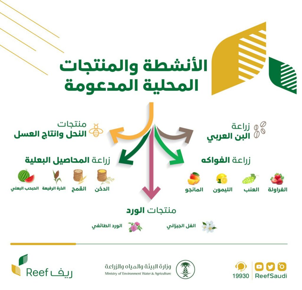 برنامج ريف