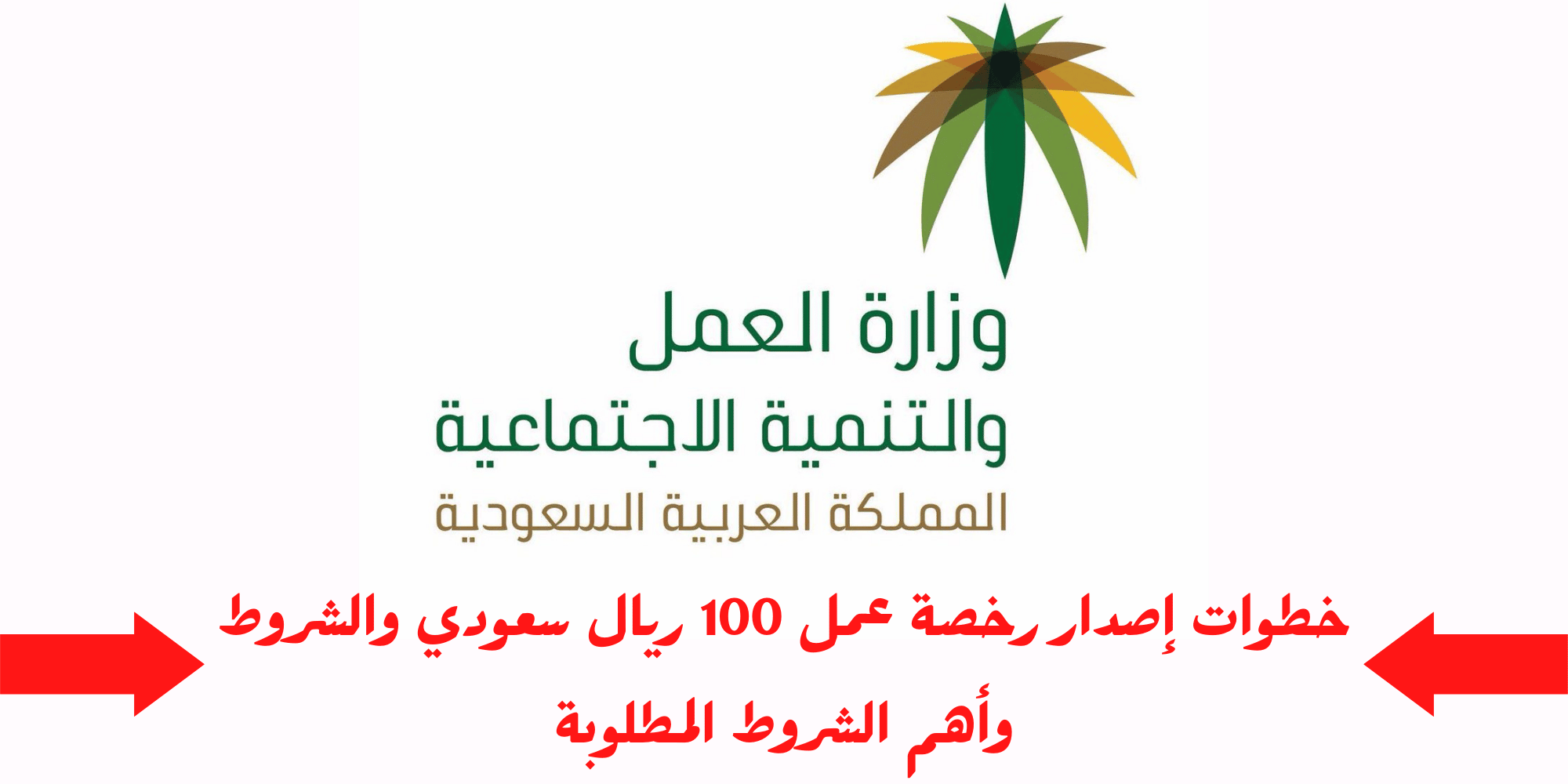 رسوم رخصة العمل
