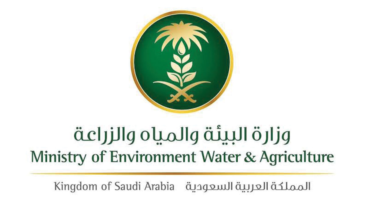 منصة ريف تسجيل الدخول