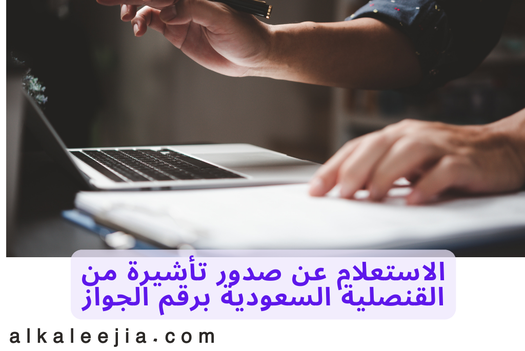 الاستعلام عن صدور تأشيرة من القنصلية السعودية