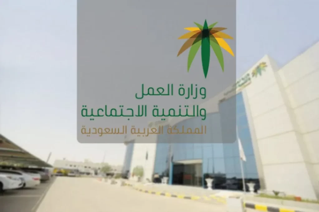 بيانات كشف استلام الرواتب وزارة العمل