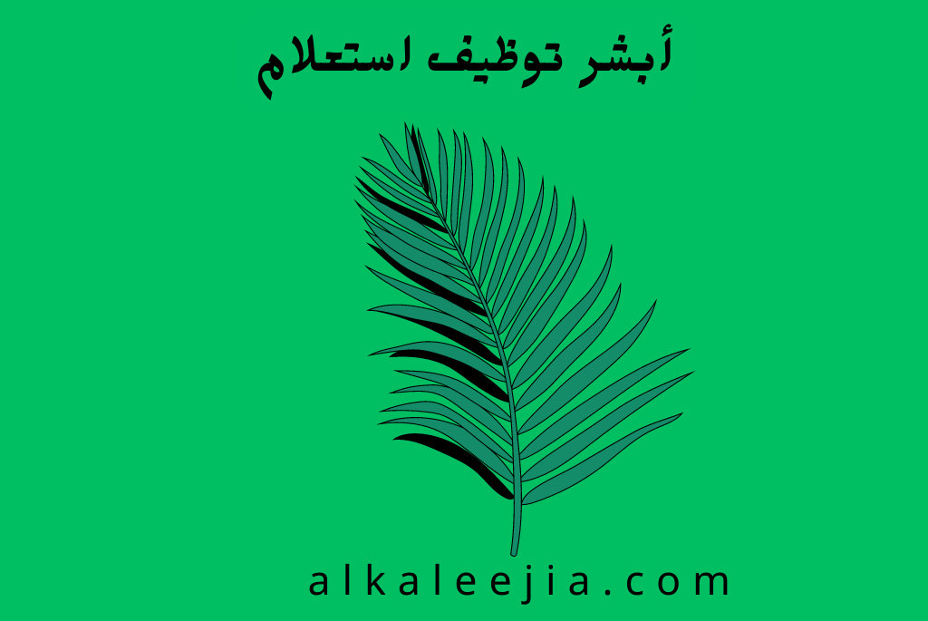 أبشر توظيف استعلام
