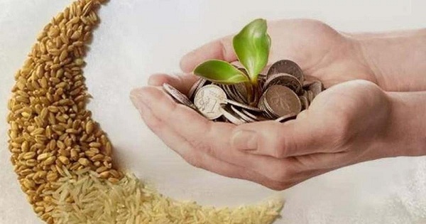 المال المدخر لبناء منزل