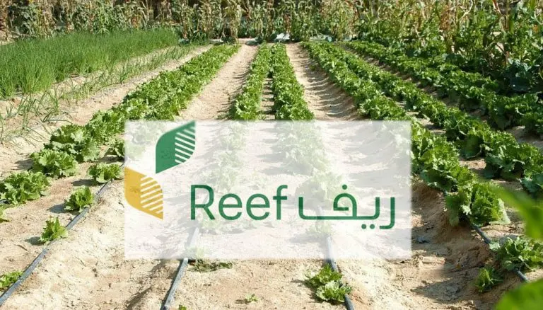 خطوات تسجيل في دعم الريف 1444