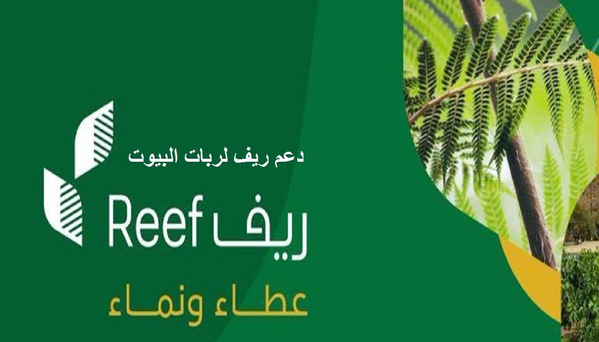 شروط دعم ريف لربات البيوت