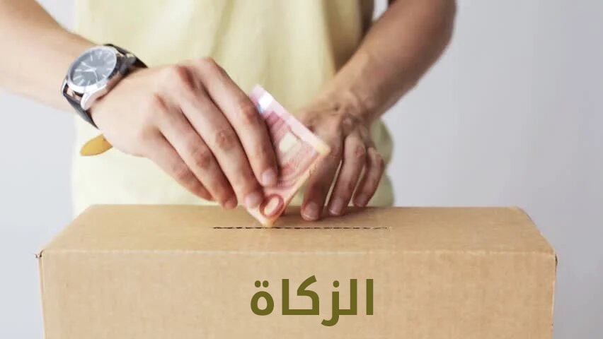 صندوق الزكاة طلب مساعدة  