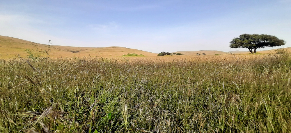 موعد بداية الخريف في ظفار