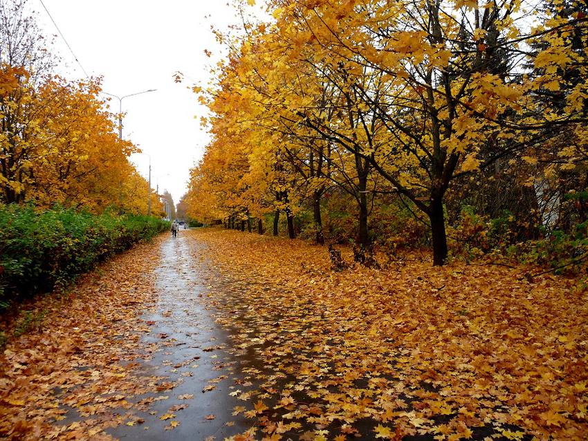 موعد بداية الخريف في ظفار