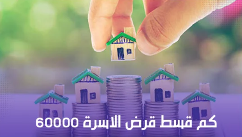 تمويل الأسرة