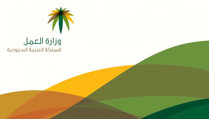 حالات نقل الكفالة بدون موافقة الكفيل