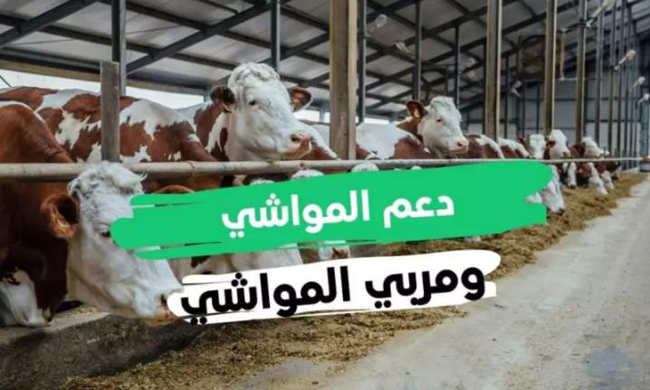 دعم صغار مربي الماشية