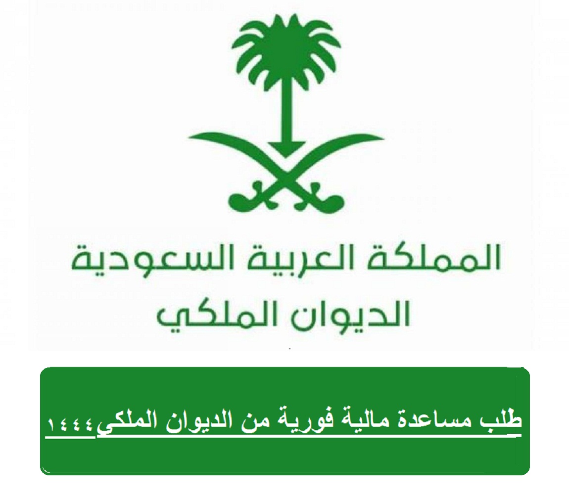 مساعدة مالية فورية