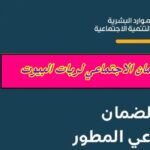 الضمان الاجتماعي لربات البيوت