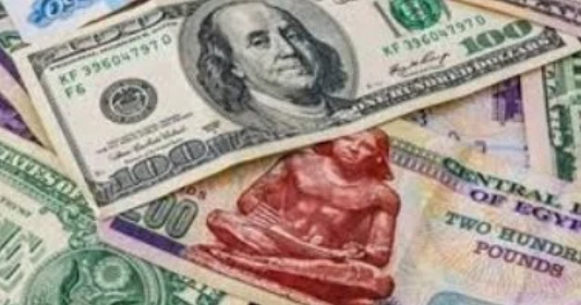سعر الدولار